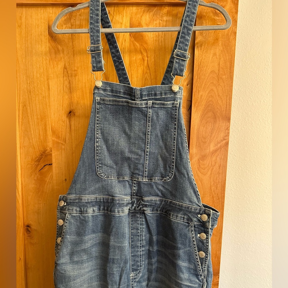 J.Crew Point Sur Denim Overalls Frayed Hem L Stretch